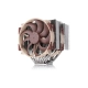 Noctua