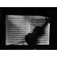 Musiikki