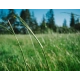 Tuulettimen takometri — Mittausvälineet — fan tachometer